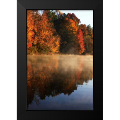 Autumn Mist I Black Modern Wood Framed Art Print by Hausenflock, Alan