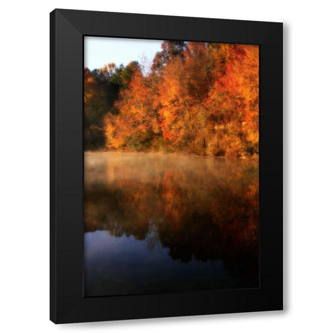 Autumn Mist II Black Modern Wood Framed Art Print with Double Matting by Hausenflock, Alan