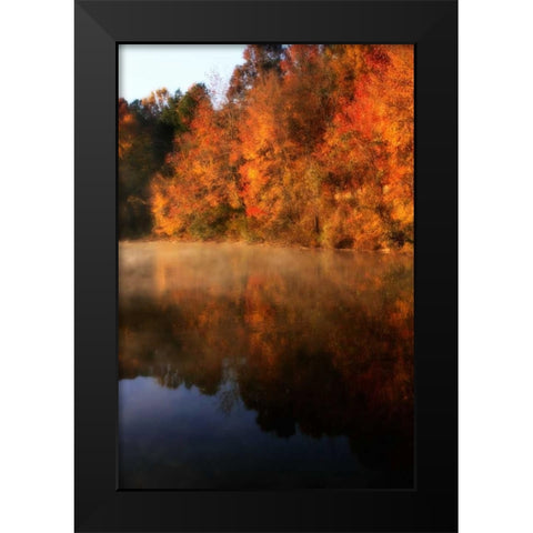 Autumn Mist II Black Modern Wood Framed Art Print by Hausenflock, Alan