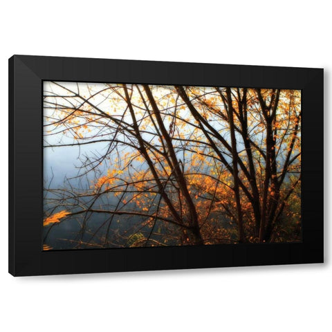 Leaves of Orange IV Black Modern Wood Framed Art Print with Double Matting by Hausenflock, Alan