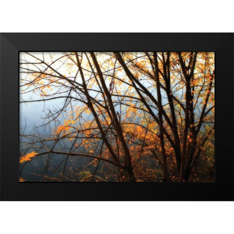 Leaves of Orange IV Black Modern Wood Framed Art Print by Hausenflock, Alan