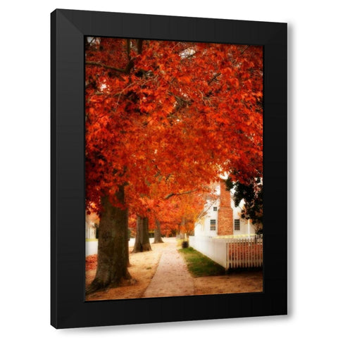 Small Town Autumn I Black Modern Wood Framed Art Print by Hausenflock, Alan