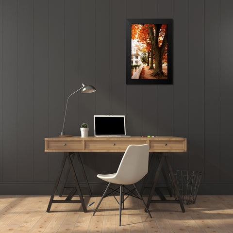 Small Town Autumn II Black Modern Wood Framed Art Print by Hausenflock, Alan