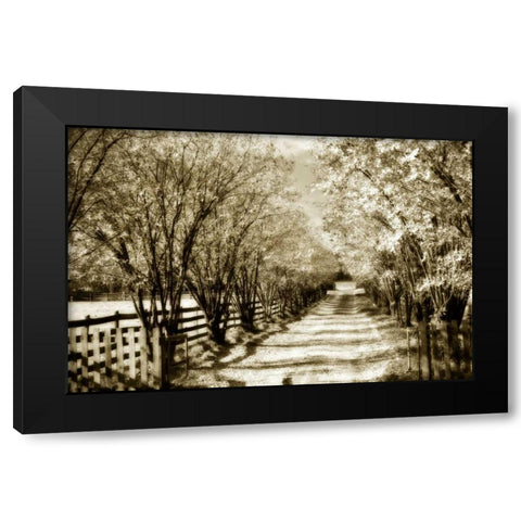 Glen Allen Farm I Black Modern Wood Framed Art Print with Double Matting by Hausenflock, Alan