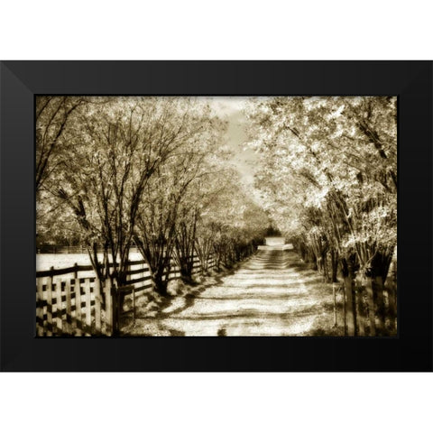Glen Allen Farm I Black Modern Wood Framed Art Print by Hausenflock, Alan