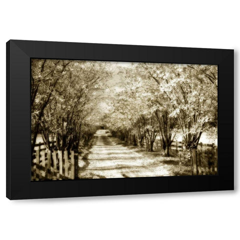 Glen Allen Farm II Black Modern Wood Framed Art Print by Hausenflock, Alan