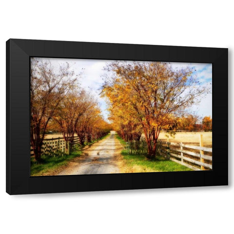 Glen Allen Farm III Black Modern Wood Framed Art Print with Double Matting by Hausenflock, Alan