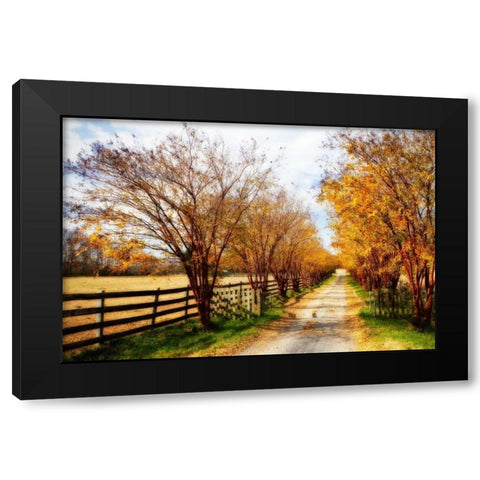 Glen Allen Farm IV Black Modern Wood Framed Art Print with Double Matting by Hausenflock, Alan