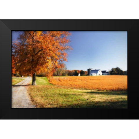 Family Farm I Black Modern Wood Framed Art Print by Hausenflock, Alan