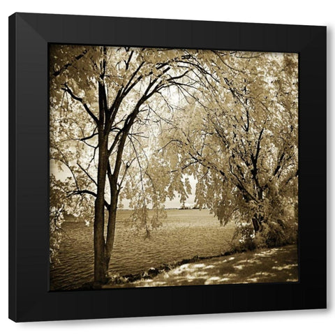 Hopewell Shores I Black Modern Wood Framed Art Print with Double Matting by Hausenflock, Alan