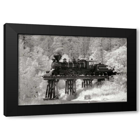 Black Hills RR I Black Modern Wood Framed Art Print with Double Matting by Johnson, George