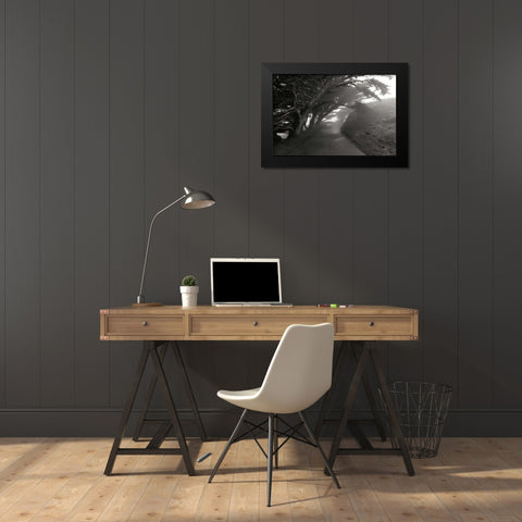 Point Reyes I Black Modern Wood Framed Art Print by Johnson, George