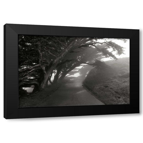 Point Reyes I Black Modern Wood Framed Art Print by Johnson, George