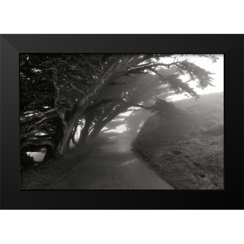 Point Reyes I Black Modern Wood Framed Art Print by Johnson, George