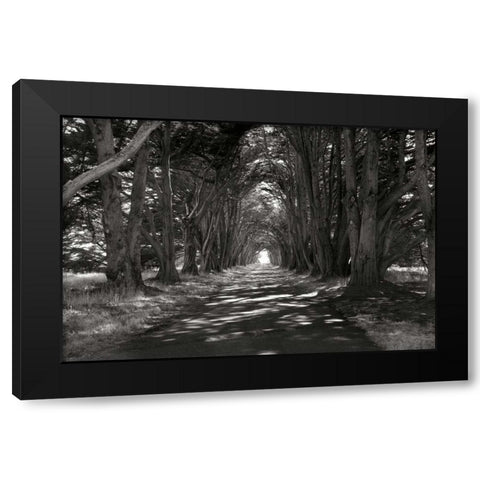 Point Reyes II Black Modern Wood Framed Art Print by Johnson, George