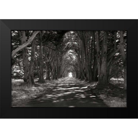 Point Reyes II Black Modern Wood Framed Art Print by Johnson, George