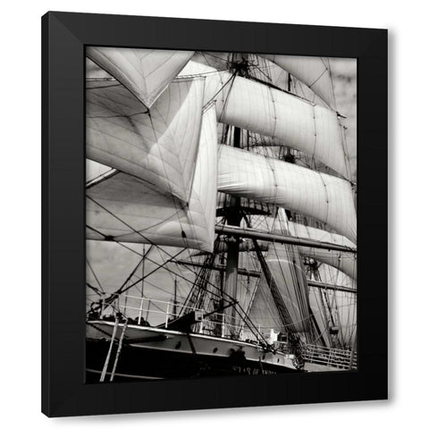 Star of India II Black Modern Wood Framed Art Print with Double Matting by Johnson, George