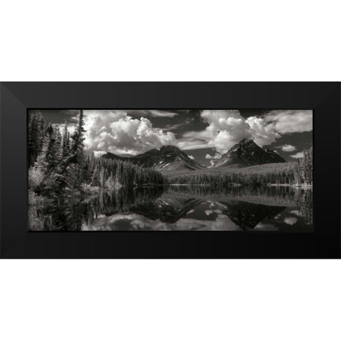 Leach Lake Black Modern Wood Framed Art Print by Johnson, George