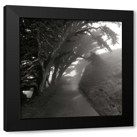 Point Reyes III Black Modern Wood Framed Art Print by Johnson, George