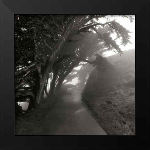 Point Reyes III Black Modern Wood Framed Art Print by Johnson, George