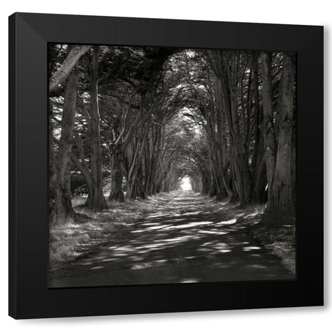 Point Reyes IV Black Modern Wood Framed Art Print with Double Matting by Johnson, George
