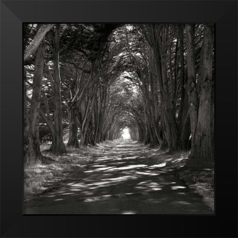 Point Reyes IV Black Modern Wood Framed Art Print by Johnson, George