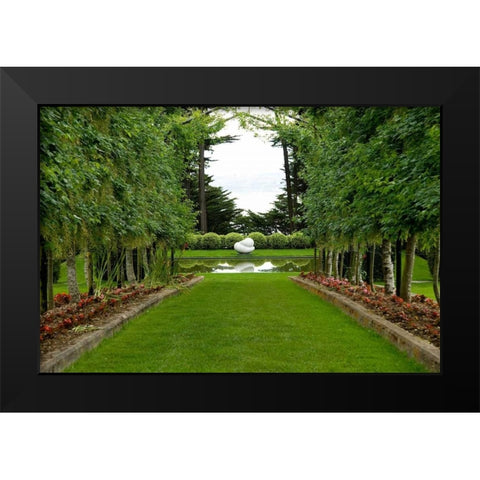 New Zealand Garden Black Modern Wood Framed Art Print by Johnson, George