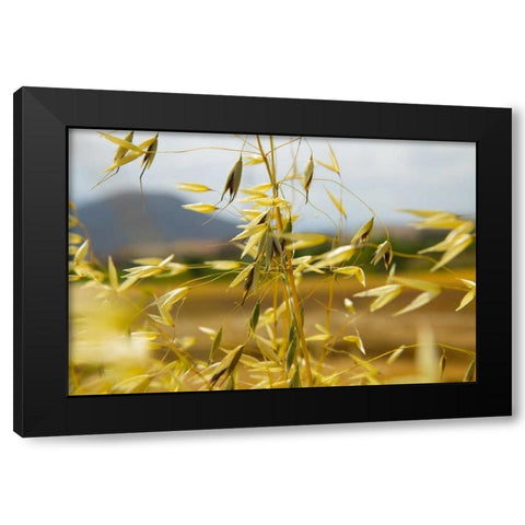 Yellow Flowers Black Modern Wood Framed Art Print with Double Matting by Johnson, George