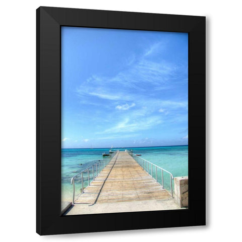 Grand Turk III Black Modern Wood Framed Art Print with Double Matting by Johnson, George