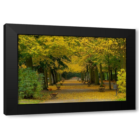 Wurzburg I Black Modern Wood Framed Art Print by Johnson, George