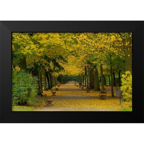 Wurzburg I Black Modern Wood Framed Art Print by Johnson, George