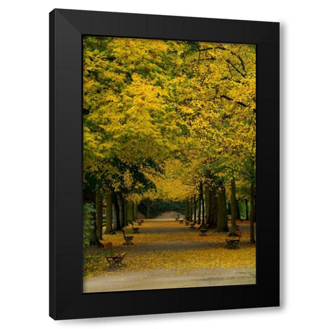 Wurzburg III Black Modern Wood Framed Art Print with Double Matting by Johnson, George