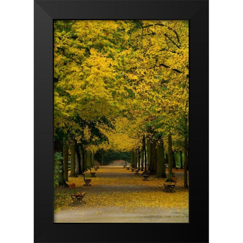 Wurzburg III Black Modern Wood Framed Art Print by Johnson, George