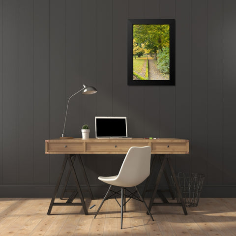 Wurzburg V Black Modern Wood Framed Art Print by Johnson, George