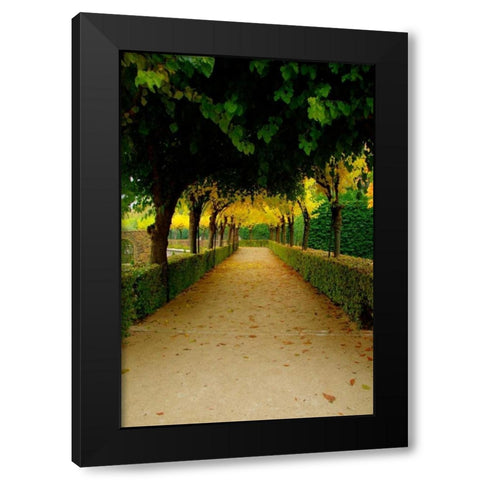 Wurzburg VI Black Modern Wood Framed Art Print by Johnson, George
