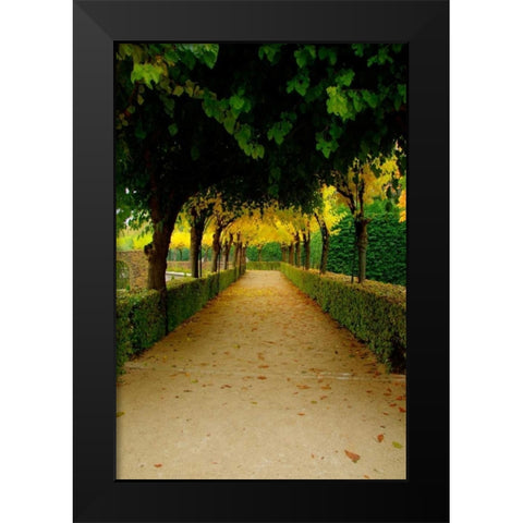 Wurzburg VI Black Modern Wood Framed Art Print by Johnson, George