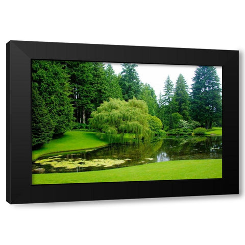 Bloedel Reserve II Black Modern Wood Framed Art Print by Johnson, George