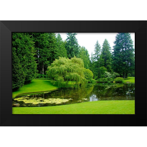 Bloedel Reserve II Black Modern Wood Framed Art Print by Johnson, George