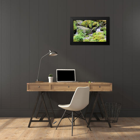 Lake Quinalt small falls Black Modern Wood Framed Art Print by Johnson, George