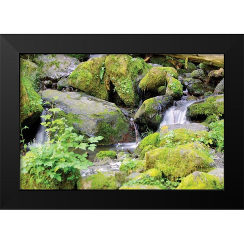 Lake Quinalt small falls Black Modern Wood Framed Art Print by Johnson, George