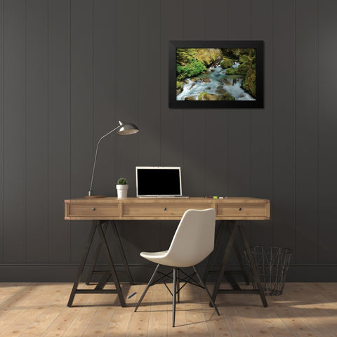 North Cascades NP I Black Modern Wood Framed Art Print by Johnson, George