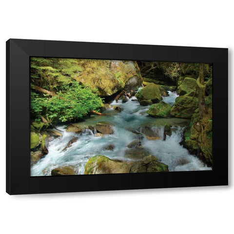 North Cascades NP I Black Modern Wood Framed Art Print by Johnson, George