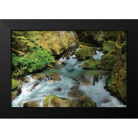 North Cascades NP I Black Modern Wood Framed Art Print by Johnson, George