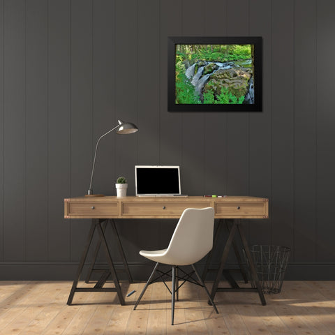 Port Angeles Falls I Black Modern Wood Framed Art Print by Johnson, George