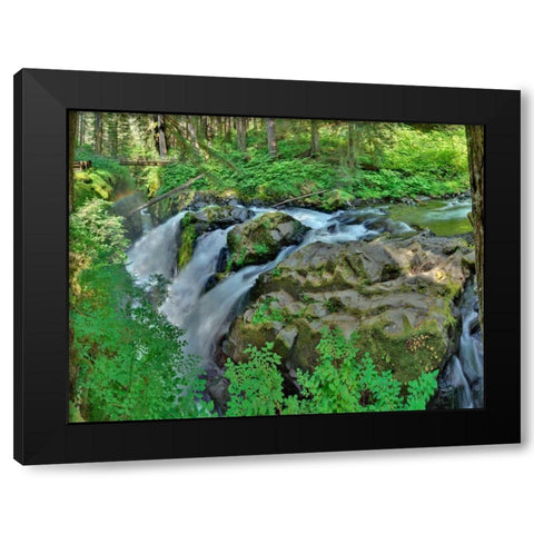 Port Angeles Falls I Black Modern Wood Framed Art Print with Double Matting by Johnson, George