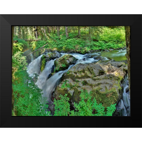 Port Angeles Falls I Black Modern Wood Framed Art Print by Johnson, George