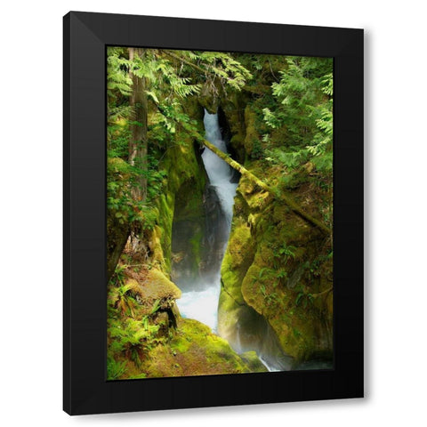 North Cascades NP III Black Modern Wood Framed Art Print by Johnson, George
