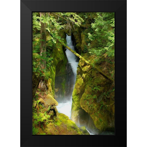 North Cascades NP III Black Modern Wood Framed Art Print by Johnson, George