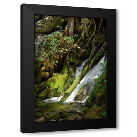 North Cascades NP IV Black Modern Wood Framed Art Print with Double Matting by Johnson, George