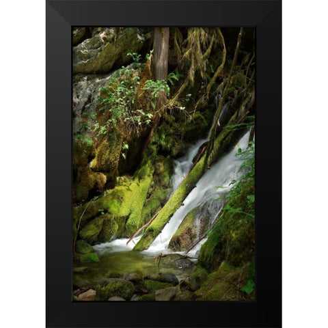 North Cascades NP IV Black Modern Wood Framed Art Print by Johnson, George